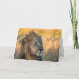 König des Dschungels, Botsuana Karte