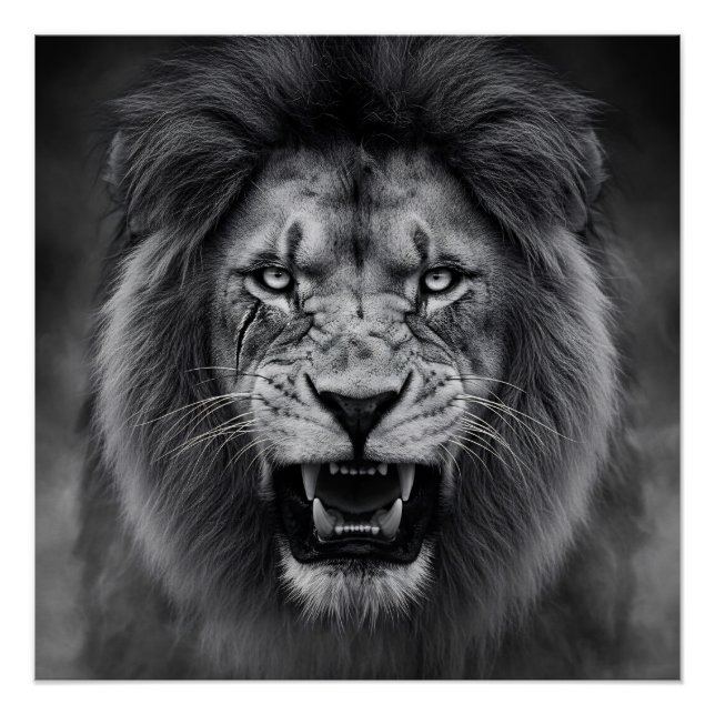 König des Dschungels Poster (Vorderseite)