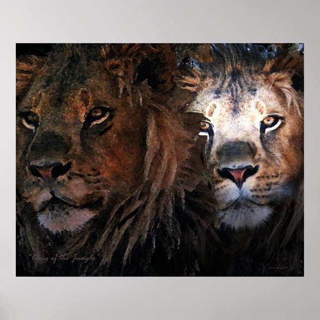 König des Dschungels Poster (Vorne)