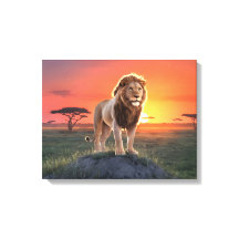 König des goldenen Lichts