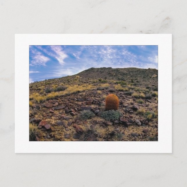 " König des Hügels " Postkarte (Vorderseite)