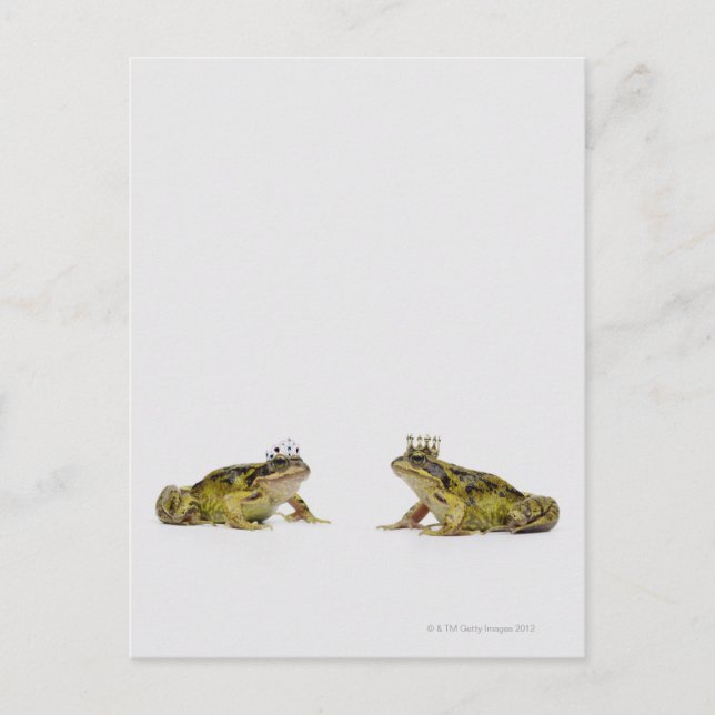 König-Königin-Frosch, der sich anschaut Postkarte (Vorderseite)