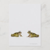 König-Königin-Frosch, der sich anschaut