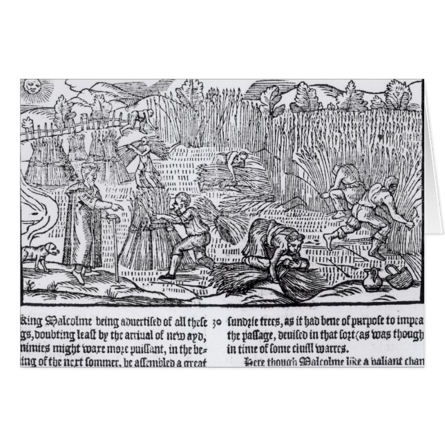 König Malcolm von Schottland (Vorderseite (Horizontal))