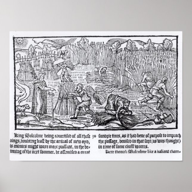 König Malcolm von Schottland Poster (Vorne)