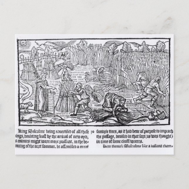 König Malcolm von Schottland Postkarte (Vorderseite)