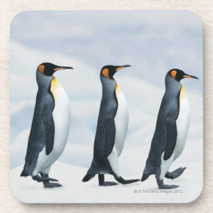 König Penguins, die in Singledatei gehen Getränkeuntersetzer