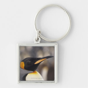 König-Pinguin (Aptenodytes patagonicus) Schlüsselanhänger