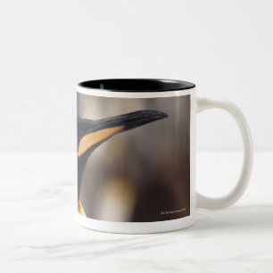 König-Pinguin (Aptenodytes patagonicus) Zweifarbige Tasse