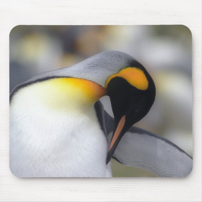 König-Pinguin Mousepad (Vorne)
