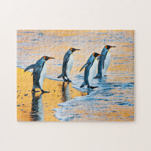 König-Pinguine am Sonnenaufgang Puzzle