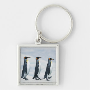 König Pinguine Schlüsselanhänger