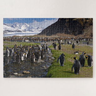 König Pinguine und Berge in Südgeorgien Puzzle