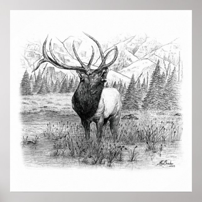 König Poster (Vorne)