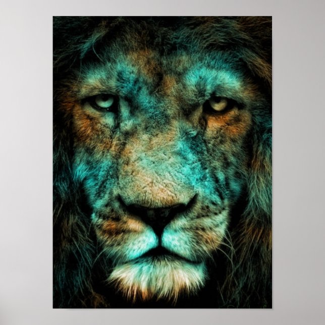 König Poster (Vorne)