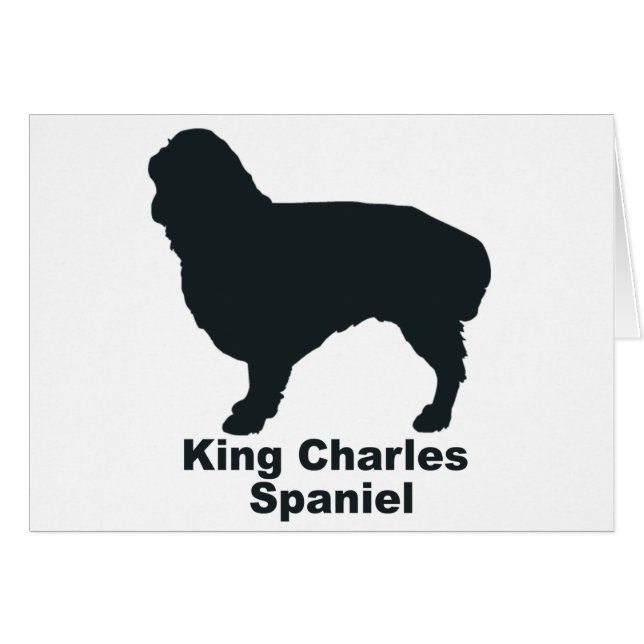 Königcharles Spaniel (Vorderseite (Horizontal))