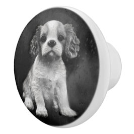 Königcharles Spaniel-Kavalierwelpe Keramikknauf