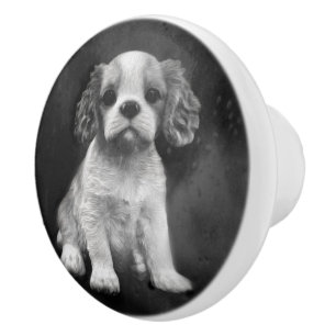 Königcharles Spaniel-Kavalierwelpe Keramikknauf