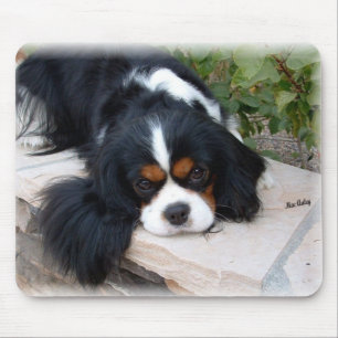 Königcharles Spaniel-Mausunterlage Mousepad