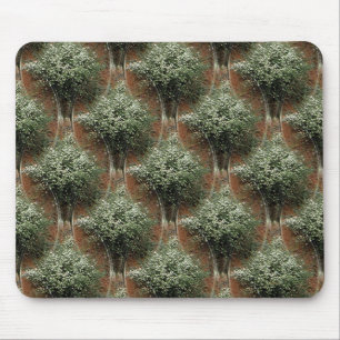 Königin Anne's Elster...... Mousepad