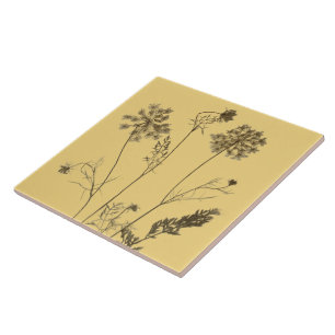 Königin Anne's Lace auf einer Keramik Tile (Gelb B Fliese