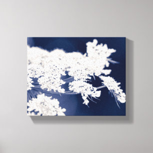 Königin Anne's Lace-Blume überzogen Canvas Leinwanddruck