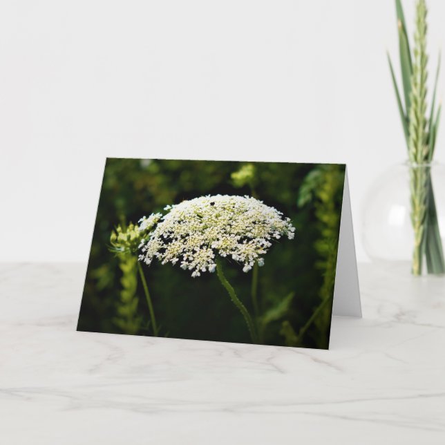 Königin Anne's Lace, Karte (Vorderseite)