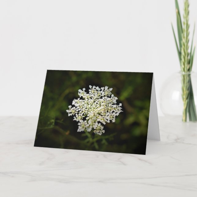 Königin Anne's Lace, Karte (Vorderseite)