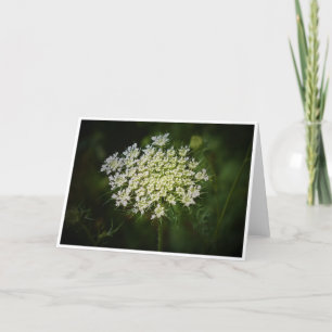 Königin Anne's Lace, Karte