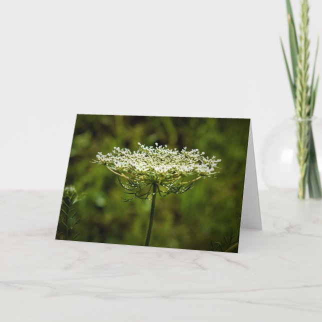 Königin Anne's Lace, Karte (Vorderseite)