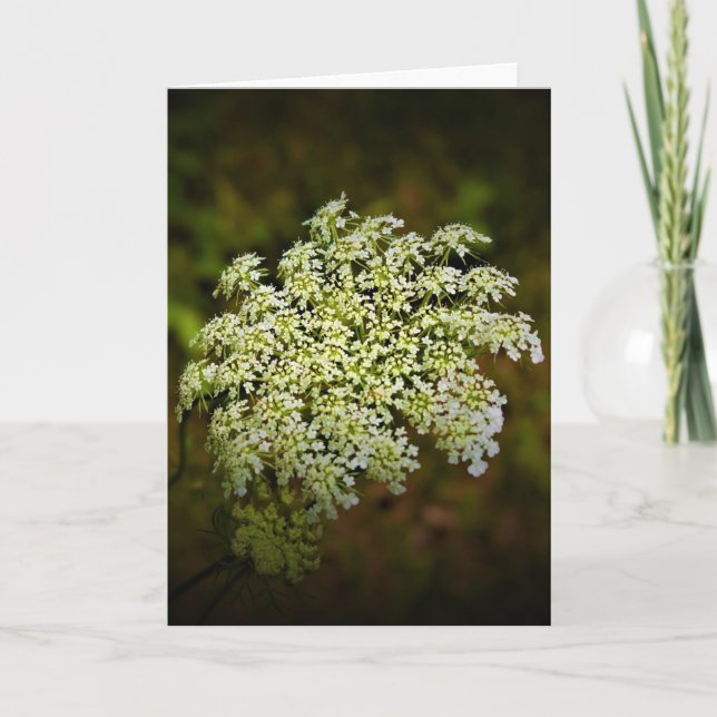 Königin Anne's Lace, Karte (Vorderseite)
