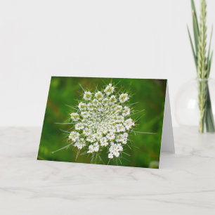 Königin Anne's Lace, Karte