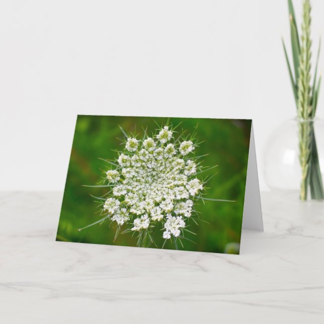 Königin Anne's Lace, Karte (Vorderseite)