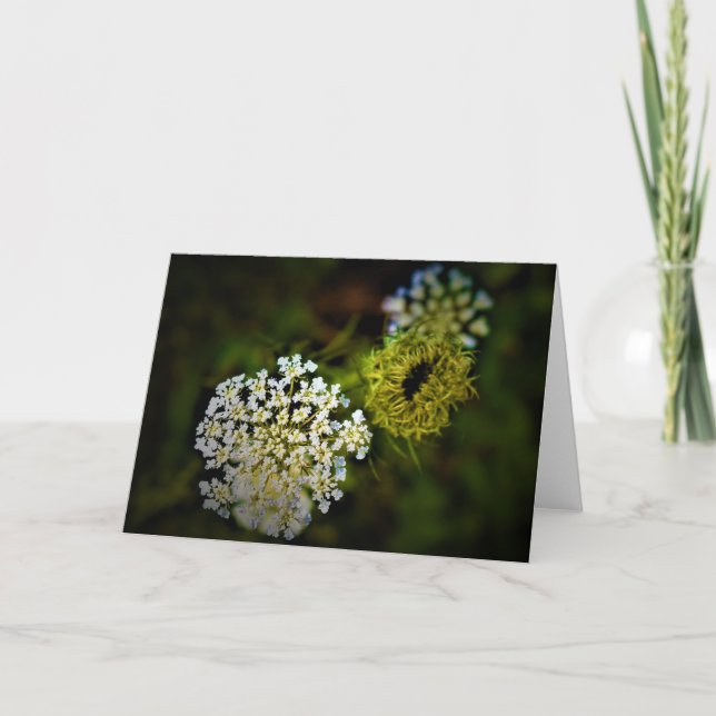 Königin Anne's Lace, Karte (Vorderseite)
