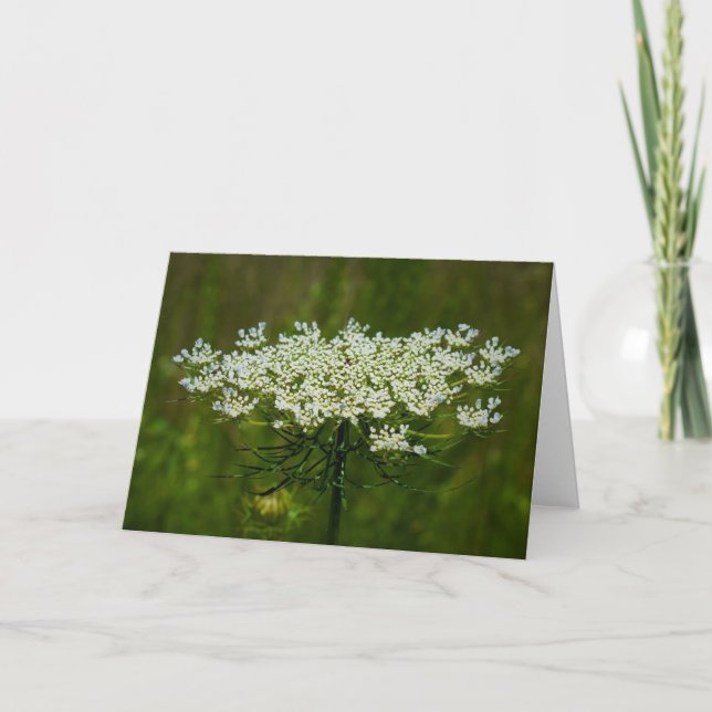 Königin Anne's Lace, Karte (Vorderseite)