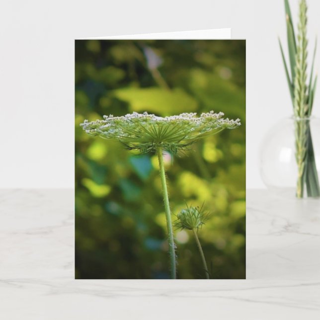 Königin Anne's Lace, Karte (Vorderseite)