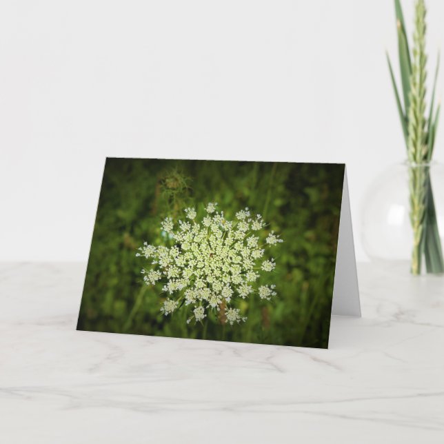 Königin Anne's Lace, Karte (Vorderseite)