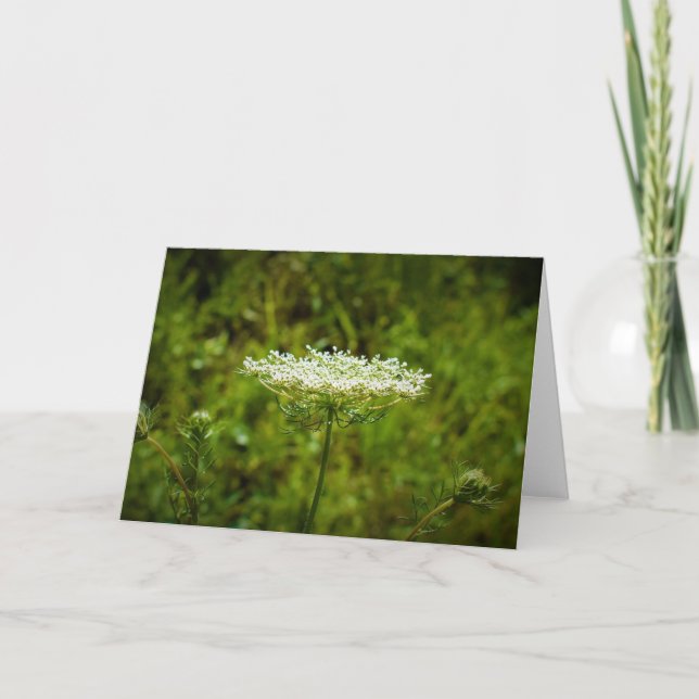 Königin Anne's Lace, Karte (Vorderseite)