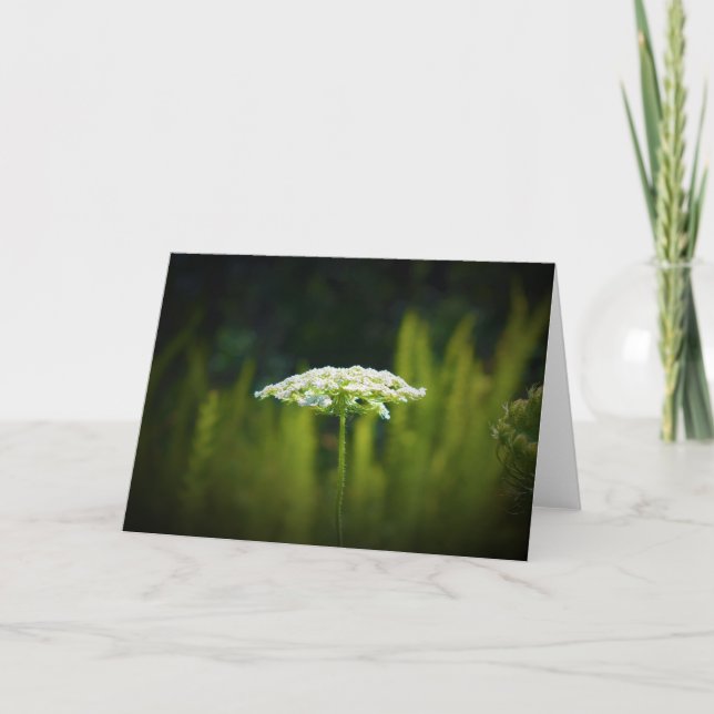 Königin Anne's Lace, Karte (Vorderseite)