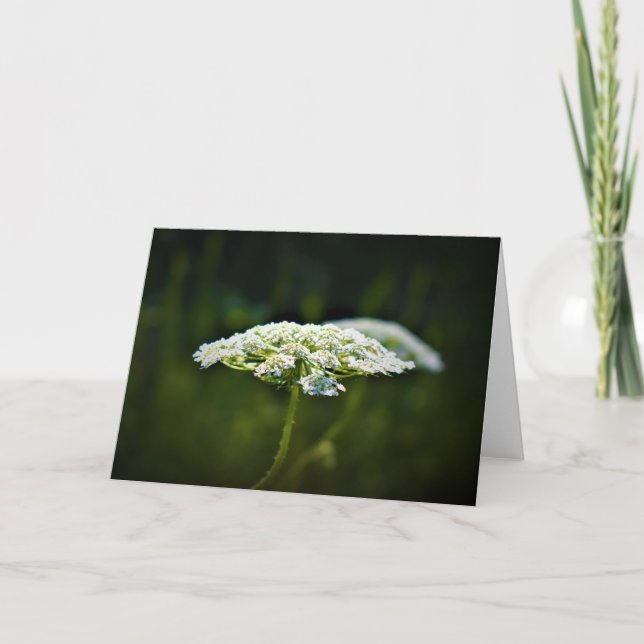 Königin Anne's Lace, Karte (Vorderseite)