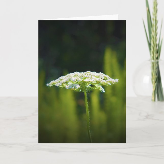 Königin Anne's Lace, Karte (Vorderseite)