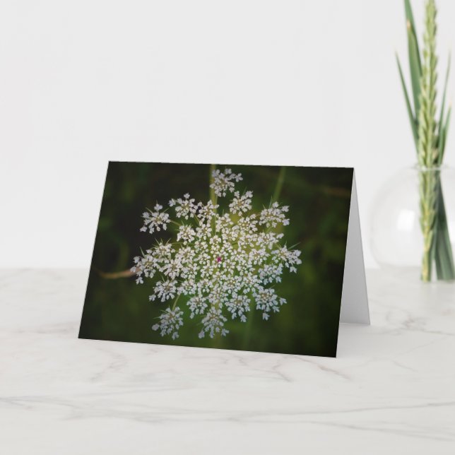 Königin Anne's Lace, Karte (Vorderseite)