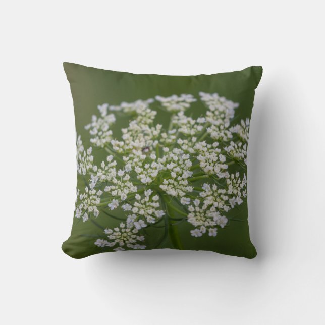 Königin Anne's Lace Kissen (Vorderseite)