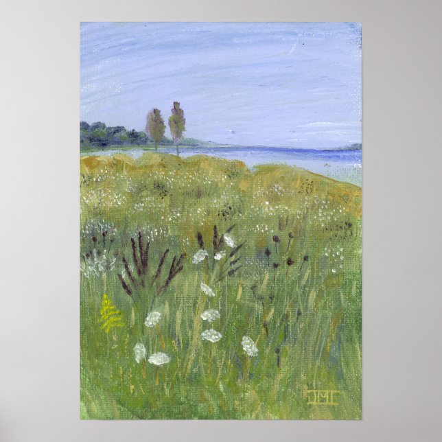 Königin Anne's Lace Poster (Vorne)