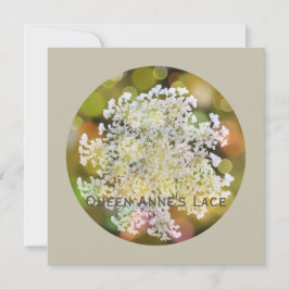 Königin Anne's Lace Wilde Flora on Coral Reef Feiertagskarte