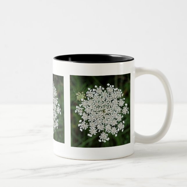 Königin Anne's Lace Zweifarbige Tasse (Rechts)