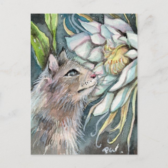 Königin der Nacht Postkarte (Vorderseite)