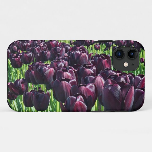 Königin der Nachttoulpen Case-Mate iPhone Hülle (Rückseite (Horizontal))