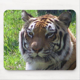 Königin des Dschungels Mousepad