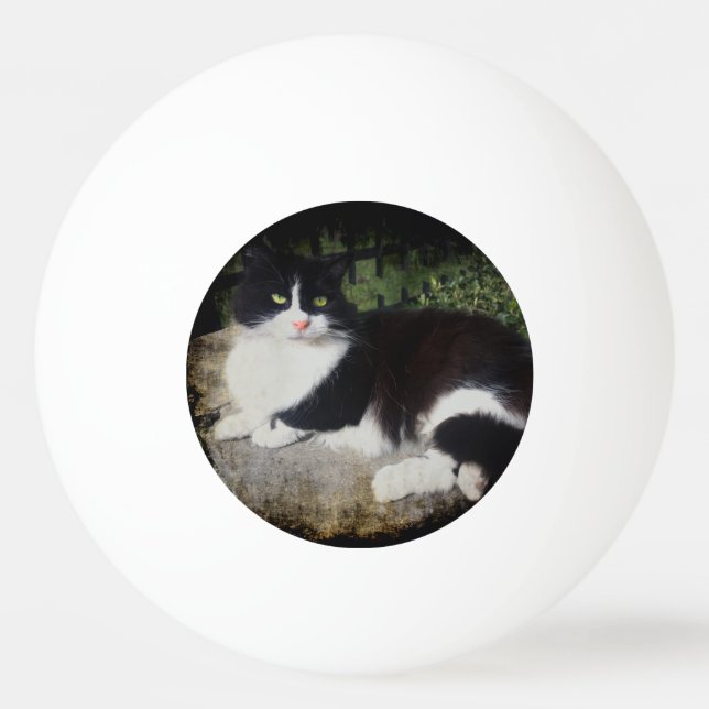 Königin des Garten-Katzen-Klingeln Pong Balls Tischtennisball (Vorderseite)
